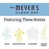 imageMRS MEYERS CLEAN DAY MRS MEYERS CLEAN DAY AllPurpose Cleaner Spray Limited Edition Acorn Spice 16 fl oz  Pack of 3 381 pounds16 Fl Oz Pack of 6