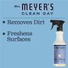 imageMRS MEYERS CLEAN DAY MRS MEYERS CLEAN DAY AllPurpose Cleaner Spray Limited Edition Acorn Spice 16 fl oz  Pack of 3 381 pounds16 Fl Oz Pack of 6