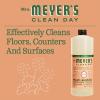 imageMRS MEYERS CLEAN DAY MRS MEYERS CLEAN DAY AllPurpose Cleaner Spray Limited Edition Acorn Spice 16 fl oz  Pack of 3 381 pounds64 Fl Oz Pack of 1