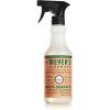 imageMRS MEYERS CLEAN DAY MRS MEYERS CLEAN DAY AllPurpose Cleaner Spray Limited Edition Acorn Spice 16 fl oz  Pack of 3 381 pounds96 Fl Oz Pack of 1