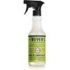 imageMRS MEYERS CLEAN DAY MRS MEYERS CLEAN DAY AllPurpose Cleaner Spray Limited Edition Acorn Spice 16 fl oz  Pack of 3 381 pounds96 Fl Oz Pack of 1