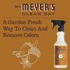 imageMRS MEYERS CLEAN DAY MRS MEYERS CLEAN DAY AllPurpose Cleaner Spray Limited Edition Acorn Spice 16 fl oz  Pack of 3 381 poundsPack of 3