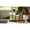 imageMRS MEYERS CLEAN DAY MultiSurface Cleaner Spray Cruelty Free Formula Iowa Pine 16 fl Oz Pack of 3