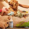 imageMRS MEYERS CLEAN DAY Pet Cleaning Kit includes Pet Stain ampamp Odor Fighter 28oz and Odor Neutralizer 28oz Coconut Leaf