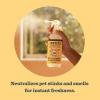 imageMRS MEYERS CLEAN DAY Pet Odor Neutralizer Coconut Leaf Scent 12ozOrange Blossom
