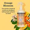 imageMRS MEYERS CLEAN DAY Pet Odor Neutralizer Coconut Leaf Scent 12ozOrange Blossom
