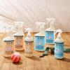 imageMRS MEYERS CLEAN DAY Pet Stain ampamp Odor Fighter Coconut Leaf Scent 16ozOrange Blossom