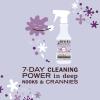 imageMRS MEYERS CLEAN DAY Probiotic MultiSurface Spray Made with Essential Oils and Other Thoughtfully Chosen Ingredients Lavender 16 Fl OzLavender