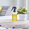 imageMRS MEYERS CLEAN DAY Room and Air Freshener Spray NonAerosol Spray Bottle Infused with Essential Oils Geranium 8 Fl OzDaisy