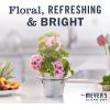 imageMRS MEYERS CLEAN DAY Room and Air Freshener Spray NonAerosol Spray Bottle Infused with Essential Oils Lavender 8 fl oz8 Fl Oz Pack of 1