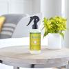 imageMRS MEYERS CLEAN DAY Room and Air Freshener Spray NonAerosol Spray Bottle Infused with Essential Oils Lavender 8 fl oz8 Fl Oz Pack of 1