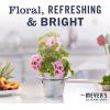 imageMRS MEYERS CLEAN DAY Room and Air Freshener Spray NonAerosol Spray Bottle Infused with Essential Oils Lavender 8 fl oz8 Fl Oz Pack of 3