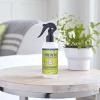 imageMRS MEYERS CLEAN DAY Room and Air Freshener Spray NonAerosol Spray Bottle Infused with Essential Oils Lavender 8 fl oz8 Fl Oz Pack of 3