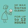 imageMRS MEYERS CLEAN DAY Soy Tin Candle 12 Hour Burn Time Made with Soy Wax and Essential Oils Basil 29 ozBasil