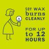 imageMRS MEYERS CLEAN DAY Soy Tin Candle 12 Hour Burn Time Made with Soy Wax and Essential Oils Basil 29 ozLemon Verbena