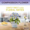imageMRS MEYERS CLEAN DAY Ultra Concentrated Laundry Detergent Compassion Flower Scent 243 fl ozCompassion Flower