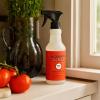 imageMrs MEYERS CLEAN DAY MultiSurface Everyday Cleaner Fresh Cut Grass Scent 16 Ounce Bottle16 Fl Oz Pack of 1