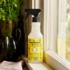 imageMrs MEYERS CLEAN DAY MultiSurface Everyday Cleaner Fresh Cut Grass Scent 16 Ounce Bottle16 Fl Oz Pack of 1