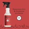 imageMrs MEYERS CLEAN DAY MultiSurface Everyday Cleaner Fresh Cut Grass Scent 16 Ounce Bottle16 Fl Oz Pack of 1