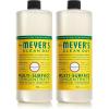 32 Fl Oz (Pack of 2)
