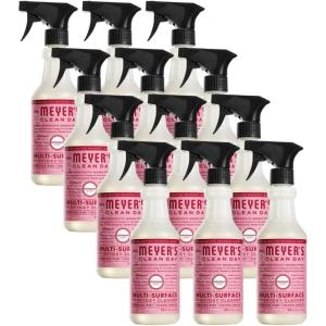 imageMRS MEYERS CLEAN DAY MRS MEYERS CLEAN DAY AllPurpose Cleaner Spray Limited Edition Acorn Spice 16 fl oz  Pack of 3 381 pounds16 Fl Oz Pack of 12