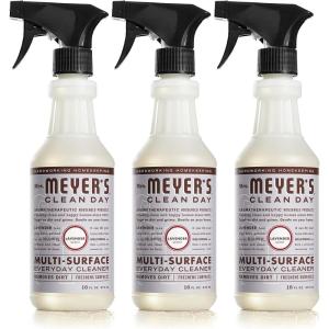 imageMRS MEYERS CLEAN DAY MRS MEYERS CLEAN DAY AllPurpose Cleaner Spray Limited Edition Acorn Spice 16 fl oz  Pack of 3 381 pounds16 Fl Oz Pack of 3
