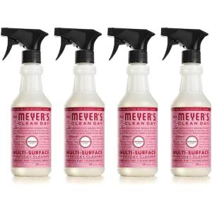 imageMRS MEYERS CLEAN DAY MRS MEYERS CLEAN DAY AllPurpose Cleaner Spray Limited Edition Acorn Spice 16 fl oz  Pack of 3 381 pounds16 Fl Oz Pack of 4