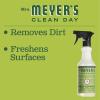 imageMRS MEYERS CLEAN DAY AllPurpose Cleaner Spray Limited Edition Iowa Pine 16 fl ozNo Color