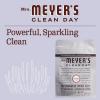 imageMRS MEYERS CLEAN DAY Automatic Dishwasher Pods Lavender 20 Count Pack of 6Lavender