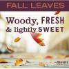 imageMRS MEYERS CLEAN DAY Dish Soap Fall Leaves Scent 16 fl oz 13