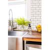 imageMRS MEYERS CLEAN DAY Foaming Hand Soap Concentrated Refills 4 Concentrated Refills 2 Fl Oz each Lavender Scent Makes 40 Fl Oz of Foaming Soap Total