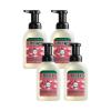 imageMRS MEYERS CLEAN DAY Foaming Hand Soap Concentrated Refills 4 Concentrated Refills 2 Fl Oz each Rain Water Scent Makes 40 Fl Oz of Foaming Soap Total10 Fl Oz Pack of 4