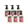 imageMRS MEYERS CLEAN DAY Foaming Hand Soap Concentrated Refills 4 Concentrated Refills 2 Fl Oz each Rain Water Scent Makes 40 Fl Oz of Foaming Soap Total10 Fl Oz Pack of 6