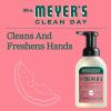 imageMRS MEYERS CLEAN DAY Foaming Hand Soap Concentrated Refills 4 Concentrated Refills 2 Fl Oz each Rain Water Scent Makes 40 Fl Oz of Foaming Soap Total10 Ounce Pack of 1