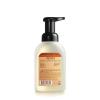 imageMRS MEYERS CLEAN DAY Foaming Hand Soap Concentrated Refills 4 Concentrated Refills 2 Fl Oz each Rain Water Scent Makes 40 Fl Oz of Foaming Soap Total250 Fl Oz Pack of 4