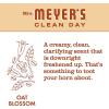 imageMRS MEYERS CLEAN DAY Foaming Hand Soap Concentrated Refills 4 Concentrated Refills 2 Fl Oz each Rain Water Scent Makes 40 Fl Oz of Foaming Soap Total250 Fl Oz Pack of 4