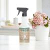 imageMRS MEYERS CLEAN DAY Kitchen Basics Set Includes MultiSurface Cleaner Hand Soap Dish Soap Lavender Scent 3 Count PackGeranium