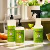 imageMRS MEYERS CLEAN DAY Liquid Dish Soap Fresh Cut Grass Scent 16 Ounce Bottle16 Fl Oz Pack of 1