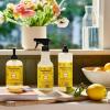 imageMRS MEYERS CLEAN DAY Liquid Dish Soap Fresh Cut Grass Scent 16 Ounce Bottle16 Fl Oz Pack of 1