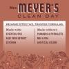imageMRS MEYERS CLEAN DAY Liquid Dish Soap Limited Edition Gingerbread Scent 16 Ounce Bottle
