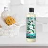 imageMRS MEYERS CLEAN DAY Moisturizing Body Wash for Women and Men Biodegradable Shower Gel Formula Made with Essential Oils Oat Blossom Scent 16 oz16 Fl Oz Pack of 2