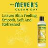 imageMRS MEYERS CLEAN DAY Moisturizing Body Wash for Women and Men Biodegradable Shower Gel Formula Made with Essential Oils Oat Blossom Scent 16 oz16 Fl Oz Pack of 1