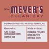 imageMRS MEYERS CLEAN DAY MultiSurface Everyday Cleaner Fall Leaves Scent 16 fl oz
