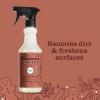 imageMRS MEYERS CLEAN DAY MultiSurface Everyday Cleaner Limited Edition Gingerbread Scent 16 Ounce Bottle
