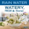imageMRS MEYERS CLEAN DAY MultiSurface Everyday Cleaner Rain Water Scent 16 Ounce Bottle