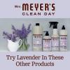 imageMRS MEYERS CLEAN DAY Tub and Tile Cleaner Lemon Verbena 33 Fluid Ounce Pack of 3Lavender