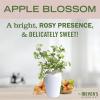 imageMRS MEYERS CLEAN DAY Vinegar Gel Cleaning Spray Bathroom Use NoRinse Formula PlantDerived Cleaning Ingredients Apple Blossom 16 Fl Oz Pack of 116 Fl Oz Pack of 1