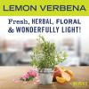 imageMRS MEYERS CLEAN DAY Vinegar Gel Cleaning Spray Bathroom Use NoRinse Formula PlantDerived Cleaning Ingredients Lemon Verbena 16 Fl Oz Pack of 1