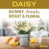 imageMrs Meyers AllPurpose Cleaner Spray Daisy 16 Fl oz Pack of 3