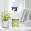 imageMrs Meyers Clean Day Glass Cleaner Bottle Lavender Scent 24 Fl oz Pack of 1Lemon Verbena